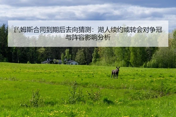 詹姆斯合同到期后去向猜测：湖人续约或转会对争冠与阵容影响分析